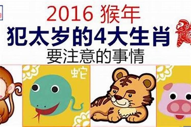 2016年哪个生肖犯太岁最好呢