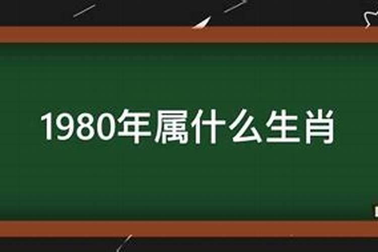 1982年属什么生肖的最佳配偶