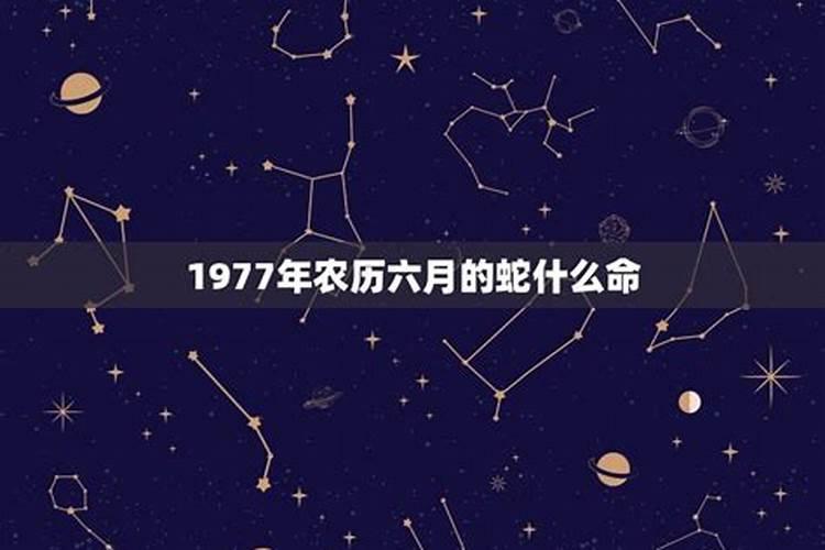 1977属蛇女是什么星座