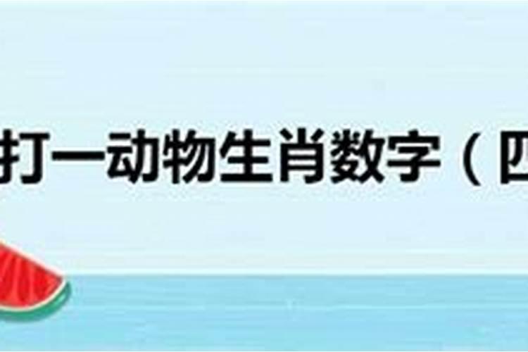 盲派断八字的关键点