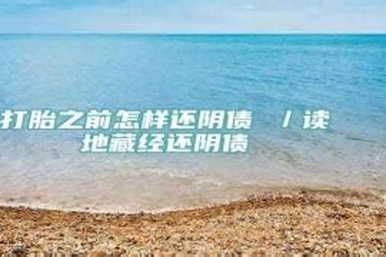 属猪的在2022年的运势