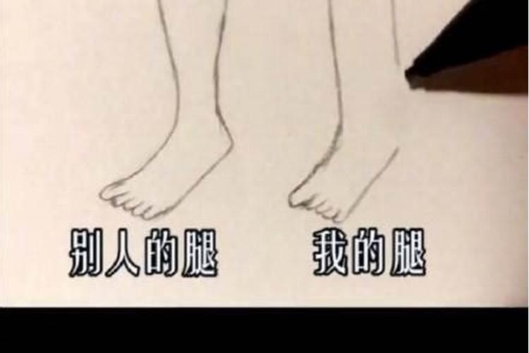 没手没脚是什么生肖