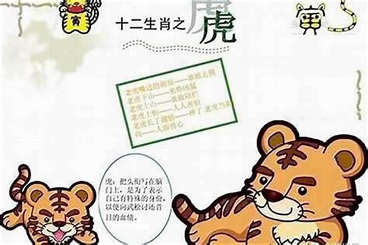 脚猜一正确生肖动物