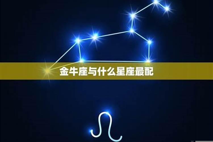 金牛座是什么象星座的