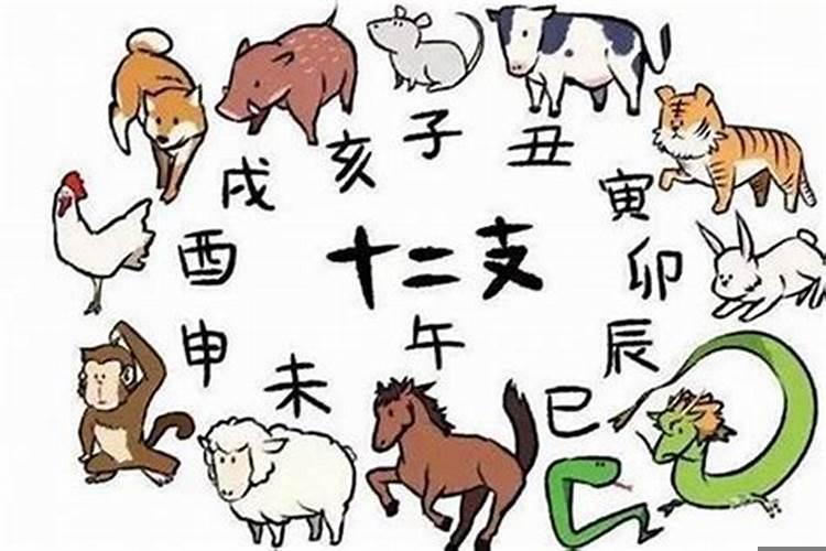 一往情深的动物猜生肖