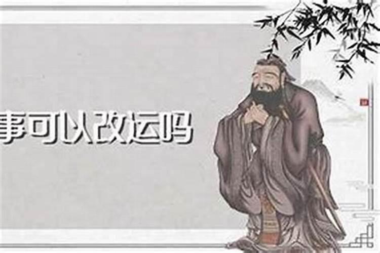 梦到动物什么意思