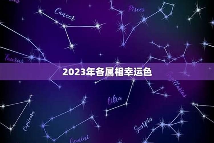 2023属狗的幸运色是什么颜色