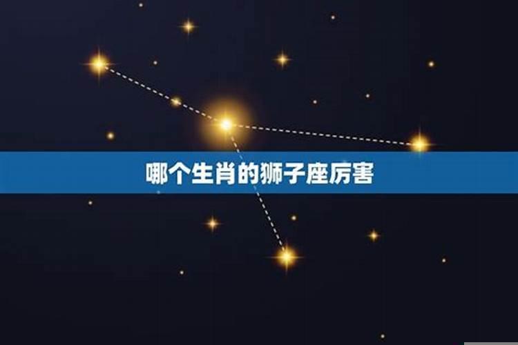 哪个星座治狮子座