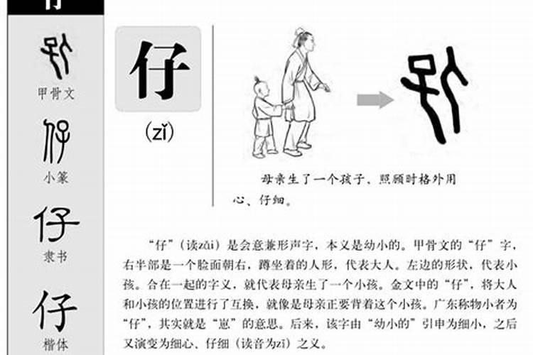 仔字五行属什么的意思