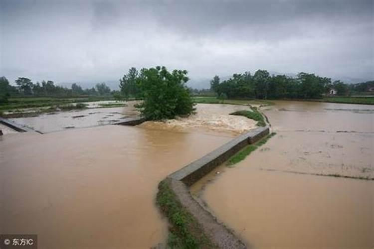 梦到发大水下大雨是什么意思