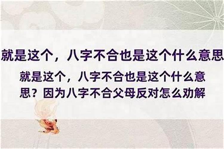 梦见双手断了又接上去了