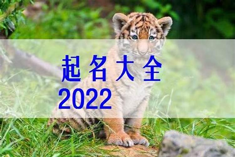 2022属虎男孩几月生好