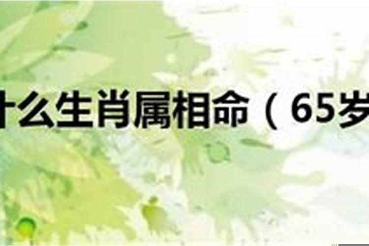 65岁属什么生肖什么命