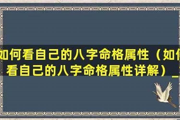 女生做梦梦到很多小蛇是什么意思啊周公解梦