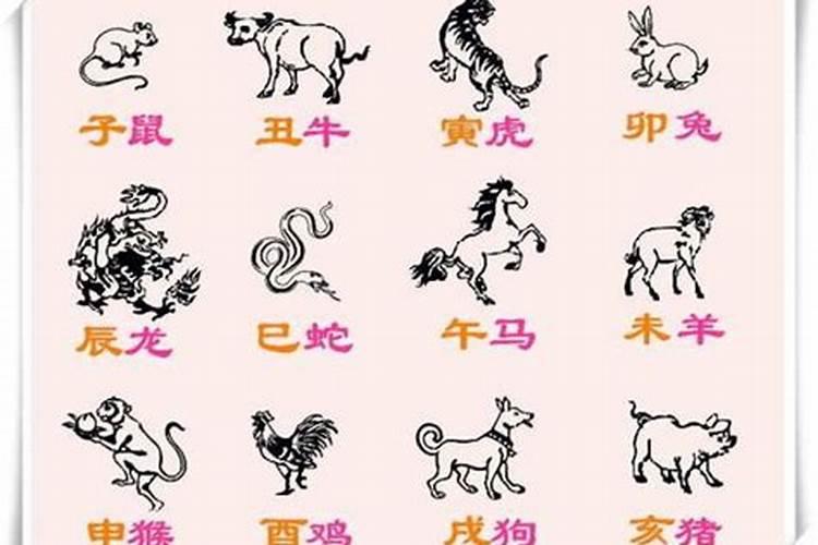 等字猜什么生肖的呢