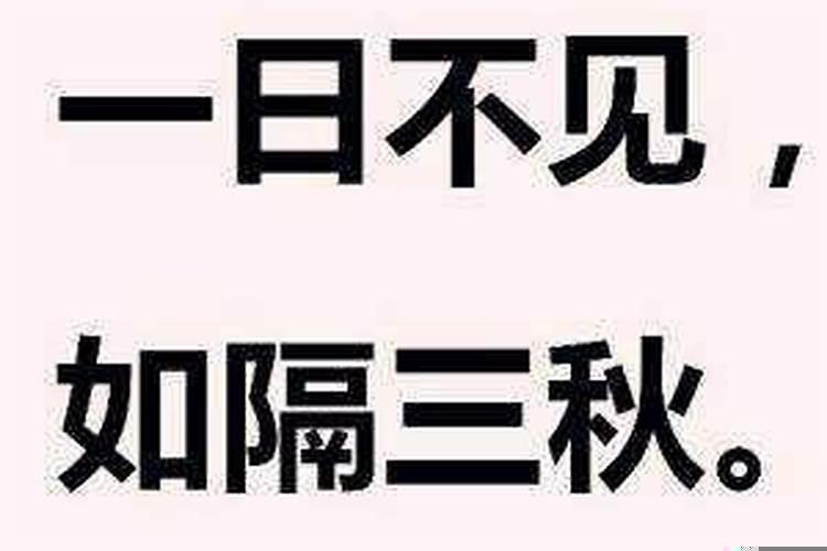 一日不见如隔三秋的三秋是什么生肖动物