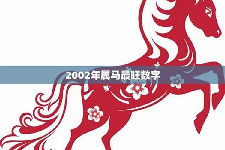 2002年的属马的,和什么属相最好