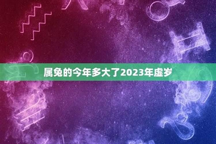 2024年属兔的今年多大