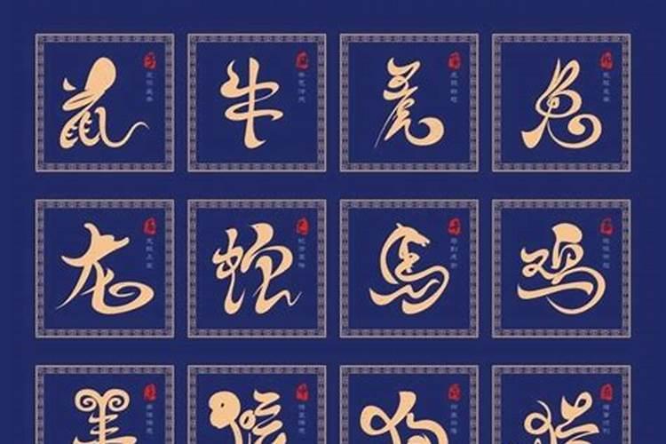 飘字五行属什么生肖属性