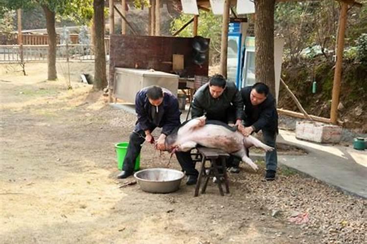 梦到很多人在一起吃东西