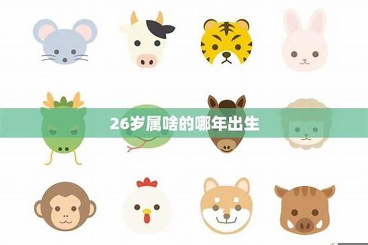 今年26岁了属什么的