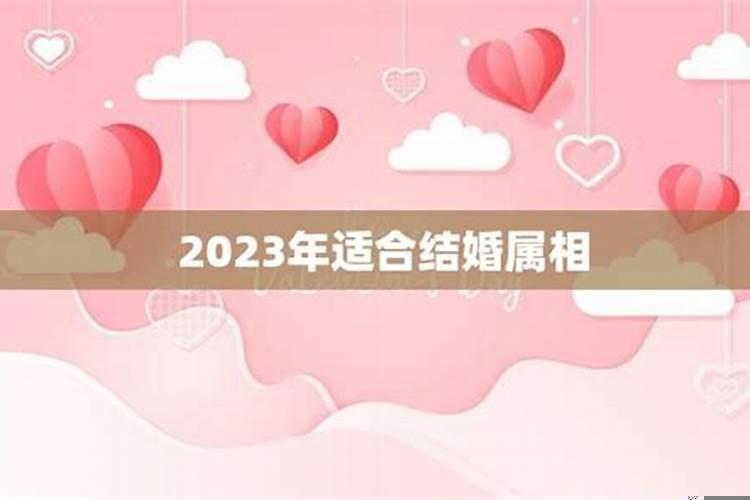 今年适合结婚的属相有哪些