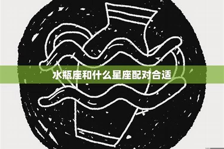 水瓶与什么星座配