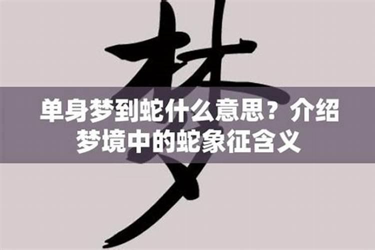 单身女人梦见蛇缠身是什么意思啊怎么回事