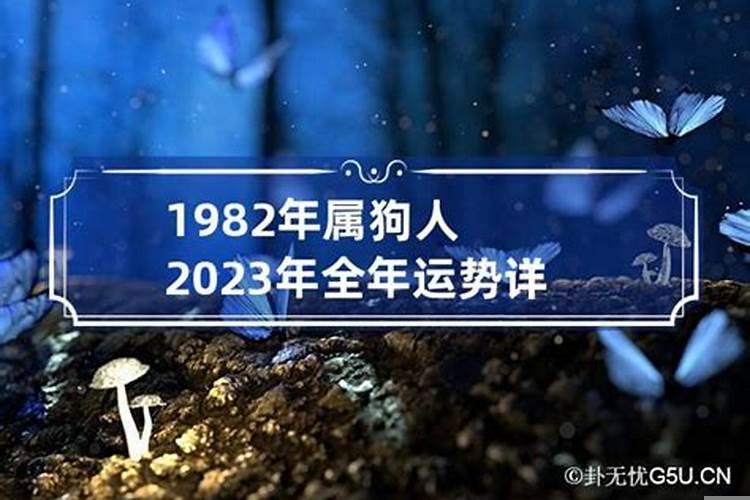 2022年属狗人全年运势1982