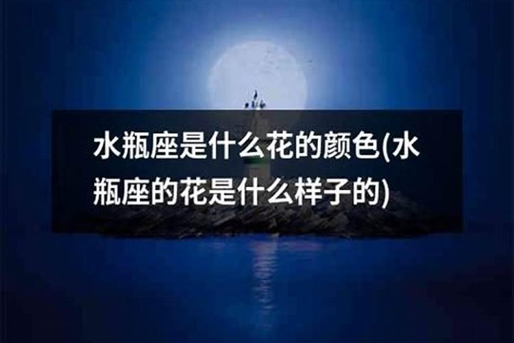 水瓶座代表什么颜色