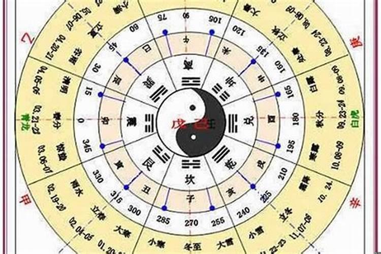 林是五行属什么