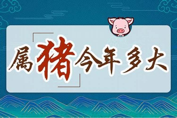 2021年属猪今年多大岁数