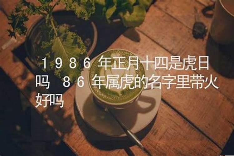 属虎的火命公司起什么名字好