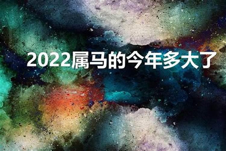 属马的多少岁2023