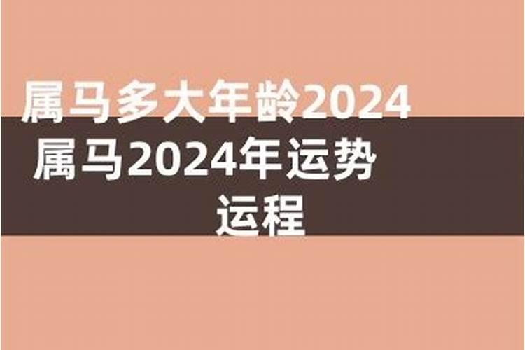 2024年属马的多大