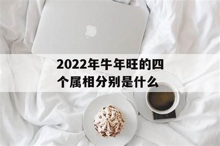 2022年最旺的生肖是什么