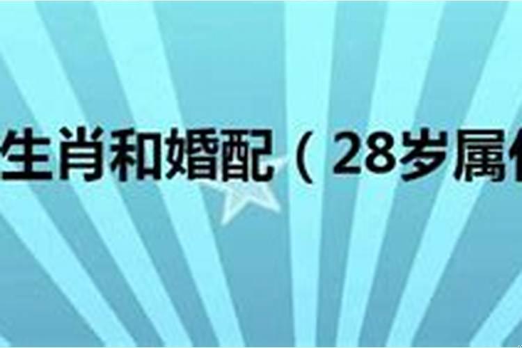 28岁属什么生肖多少岁2020