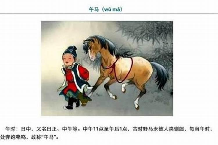 土木生肖头是什么意思