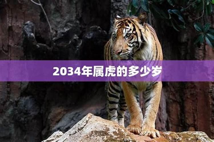 2024年属虎的多少岁