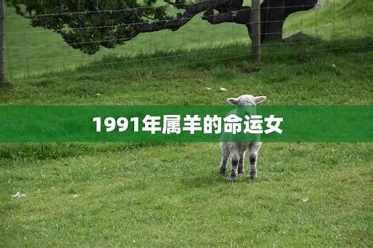 1973年属猪2023年运势