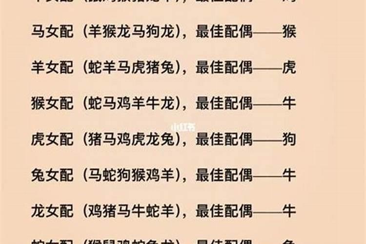 生肖配对婚姻八字