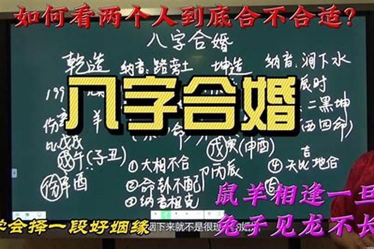 女人梦见橙子树上接了几个小櫈子