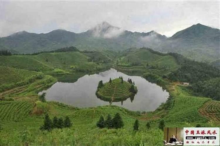 半风半雨就是它是什么生肖