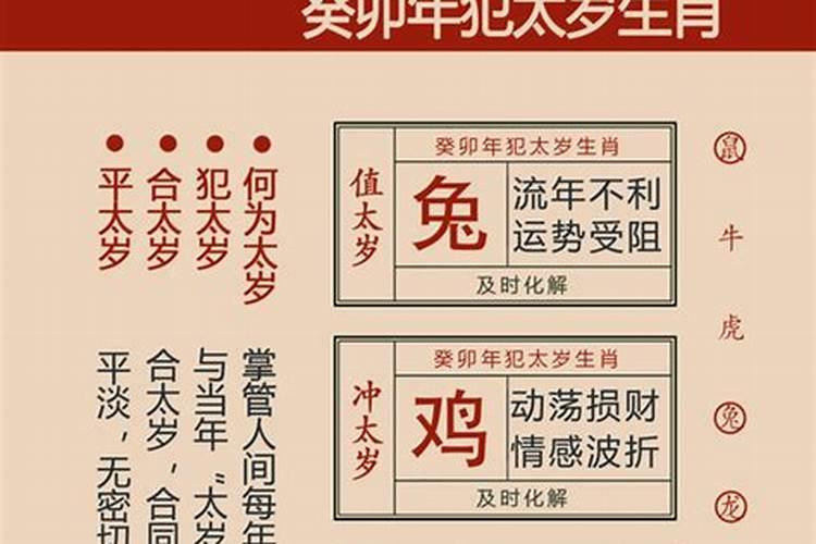 2023年兔本命年应该注意什么