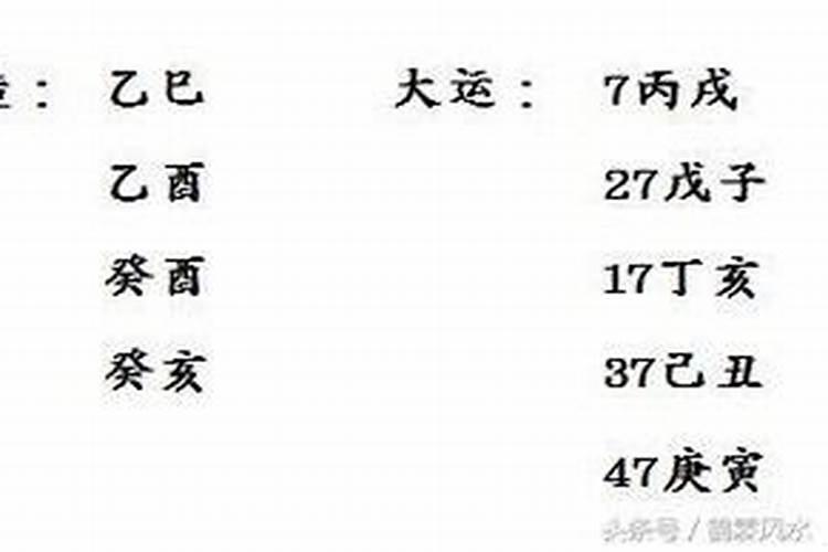 今年23岁的人属什么的