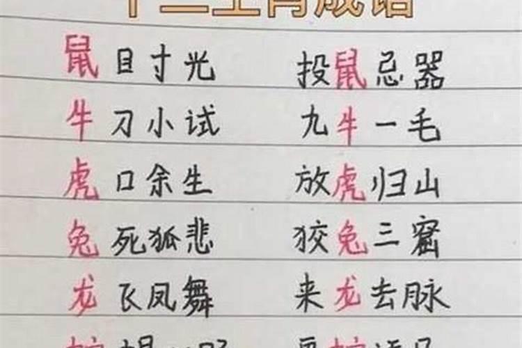 12生肖成语