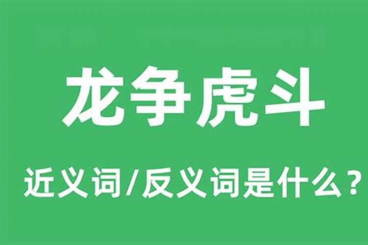 龙虎相争的生肖是什么意思