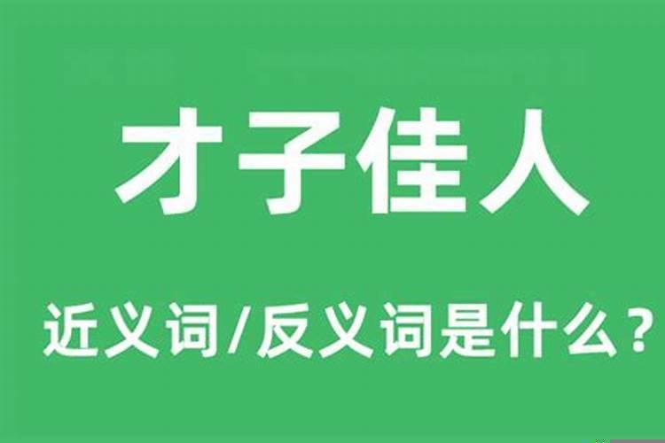 才子佳人是哪一个生肖的