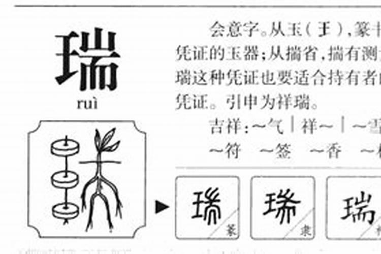 瑞字在五行属什么