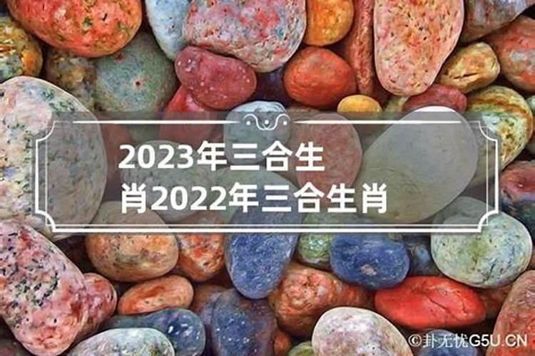 2020属鸡三合生肖是什么